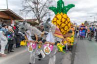 161. Lichtenwörther Faschingsumzug, 15.02.2026