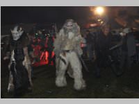 6. Lichtenwrther Rauhnachts- und Perchtenlauf, 05.01.2014