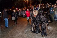 10. Lichtenwrther Rauhnachtslauf, 05.01.2018