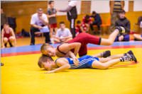 Ringen: 5. Int. Mörbischer Nikolausturnier, 23.11.2019