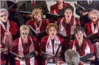 Adventkonzert Singkreis Steinbrunn, 10.12.2016
