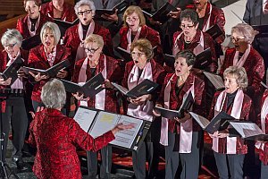 Adventkonzert Singkreis Steinbrunn, 10.12.2016