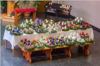 Adventkranzsegnung in Neufeld, 27.11.2016