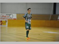 Neufelderseentrophy Hallencup, 01.12.2013