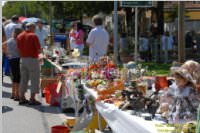 29. Neufelder Bauernmarkt, 15.08.2009