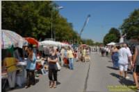 29. Neufelder Bauernmarkt, 15.08.2009