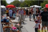 29. Neufelder Bauernmarkt, 15.08.2009