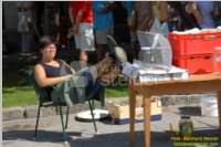 29. Neufelder Bauernmarkt, 15.08.2009
