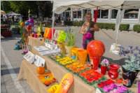 36. Neufelder Bauernmarkt, 15.08.2016