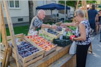 36. Neufelder Bauernmarkt, 15.08.2016