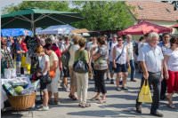 36. Neufelder Bauernmarkt, 15.08.2016