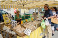 36. Neufelder Bauernmarkt, 15.08.2016