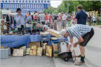 36. Neufelder Bauernmarkt, 15.08.2016
