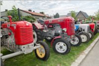 36. Neufelder Bauernmarkt, 15.08.2016
