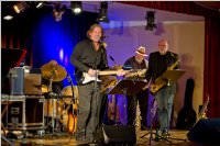 4. Blues Night mit Habersak & Friends, 18.02.2016