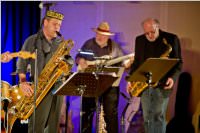 4. Blues Night mit Habersak & Friends, 18.02.2016