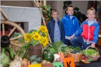 Erntedankfest und Pfarrhoffest in Neufeld, 02.10.2016