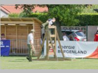 FF Neufeld beim MA-Bezirksfeuerwehrjugendleistungsbewerb, 22.06.2014