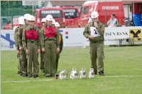 FF Bezirksfeuerwehr(jugend)leistungsbewerb in Trausdorf, 30.05.2015