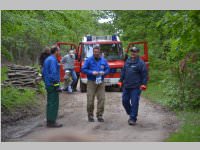 Maibaum der FF Neufeld, 11.05.2013