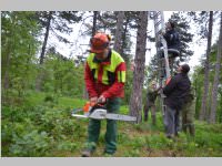 Maibaum der FF Neufeld, 11.05.2013