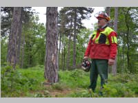 Maibaum der FF Neufeld, 11.05.2013