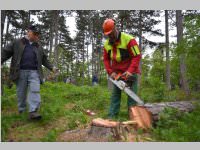 Maibaum der FF Neufeld, 11.05.2013