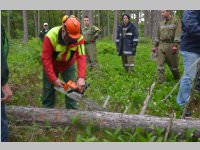 Maibaum der FF Neufeld, 11.05.2013