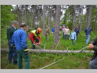 Maibaum der FF Neufeld, 11.05.2013