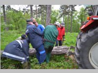 Maibaum der FF Neufeld, 11.05.2013