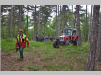 Maibaum der FF Neufeld, 11.05.2013