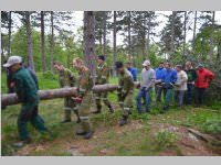 Maibaum der FF Neufeld, 11.05.2013