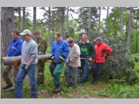 Maibaum der FF Neufeld, 11.05.2013