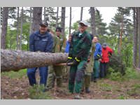 Maibaum der FF Neufeld, 11.05.2013