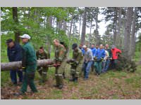 Maibaum der FF Neufeld, 11.05.2013