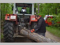 Maibaum der FF Neufeld, 11.05.2013