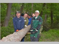 Maibaum der FF Neufeld, 11.05.2013