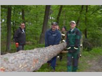 Maibaum der FF Neufeld, 11.05.2013