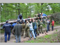 Maibaum der FF Neufeld, 11.05.2013