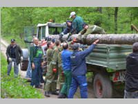 Maibaum der FF Neufeld, 11.05.2013