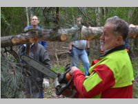 Maibaum der FF Neufeld, 11.05.2013