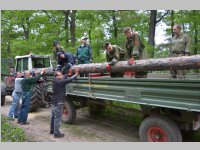 Maibaum der FF Neufeld, 11.05.2013