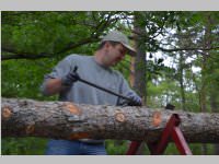 Maibaum der FF Neufeld, 11.05.2013