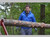 Maibaum der FF Neufeld, 11.05.2013