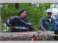 Maibaum der FF Neufeld, 11.05.2013
