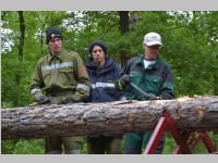 Maibaum der FF Neufeld, 11.05.2013