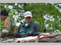 Maibaum der FF Neufeld, 11.05.2013