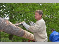 Maibaum der FF Neufeld, 11.05.2013