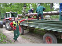 Maibaum der FF Neufeld, 11.05.2013