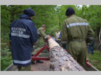 Maibaum der FF Neufeld, 11.05.2013